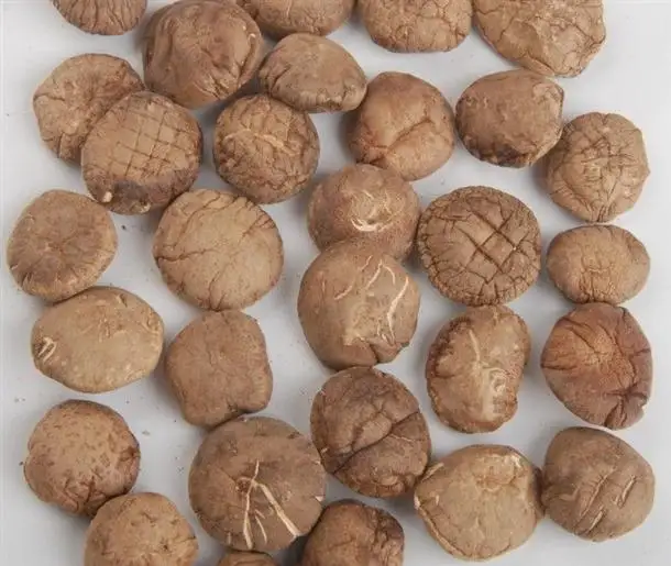 
Detan Dried Shitake Mushrooms price 