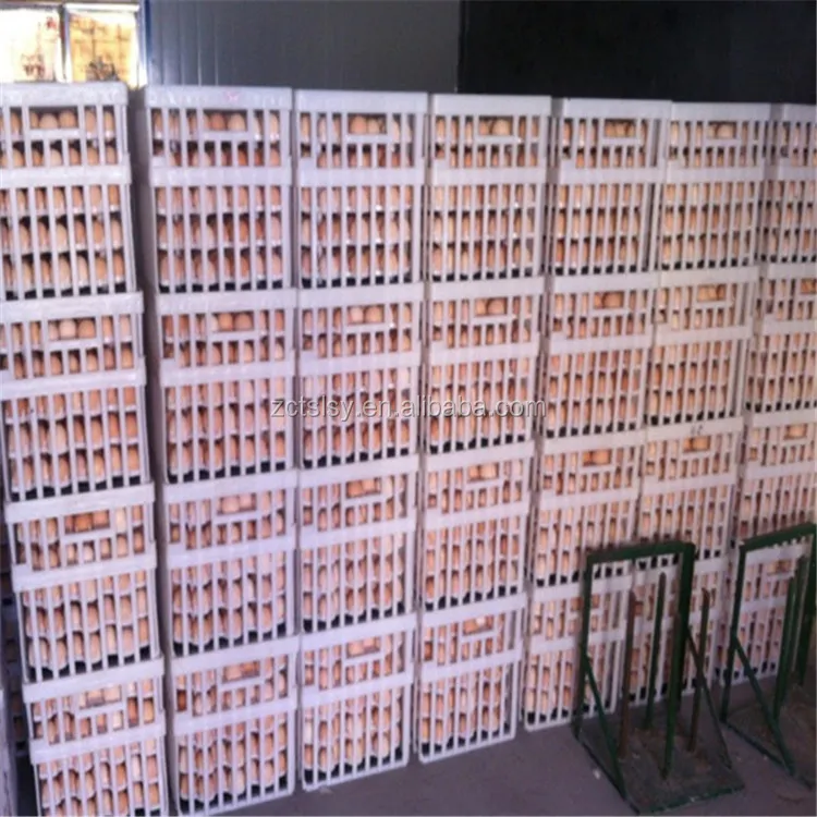 Chicken farm special transport egg basket egg carrier