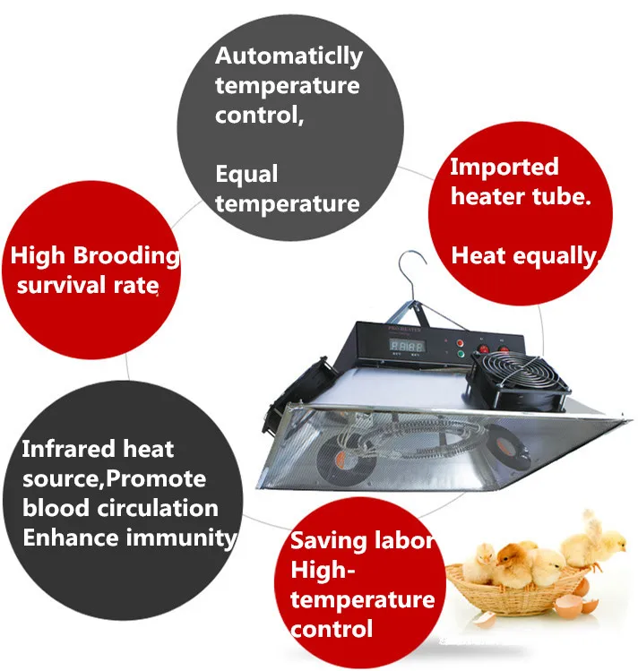 Automatic high quality chicken heater brooder for sale