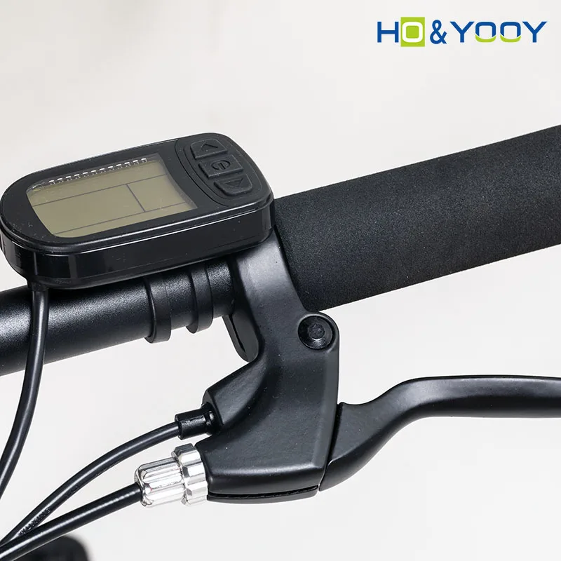 Italian Electric Bike/ Electricbikes 20 Inch Bicicleta Electrica China Electronic Lithium Battery Rear Hub Motor Aluminum Alloy