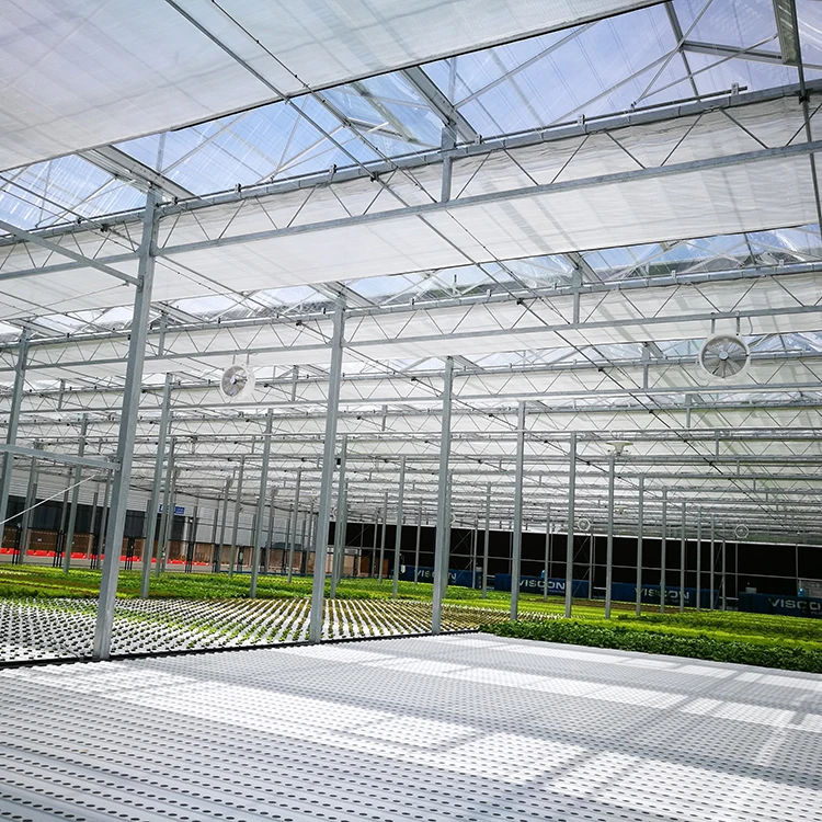 Low Cost Fixed Poly Tunnel Seed Greenhouse For Vegetable