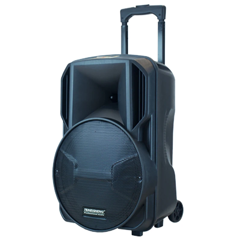 Best Seller Bosinas Wholesales 12 Inch Woofer Boombox Portable Battery Power Rechargeable Party Caxia De Som