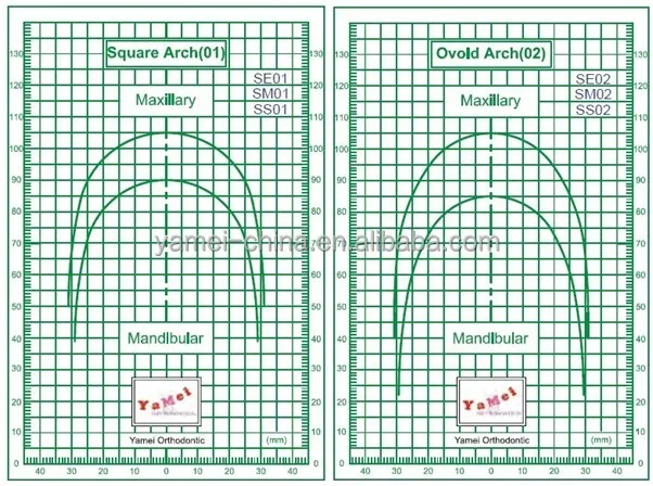 Orthodontic Copper Niti Thermal Activated Dental Materials Cu-Ti Orthodontic Archwires
