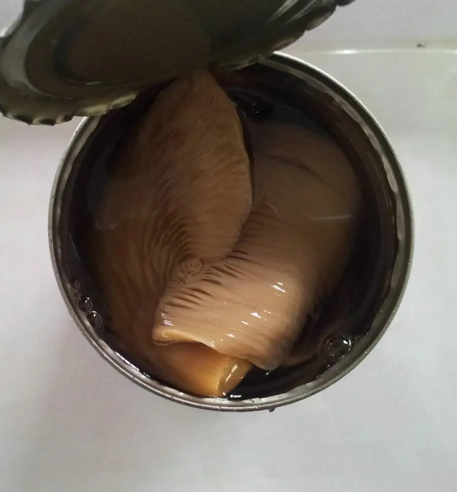 
canned abolane mushroom in vacuum bags 
