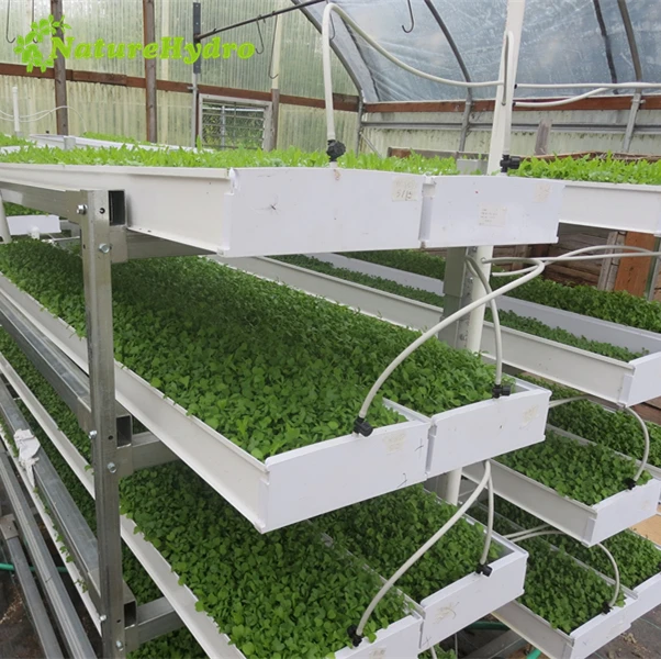 Hydroponic forage systems alfalfa fodder system for sale