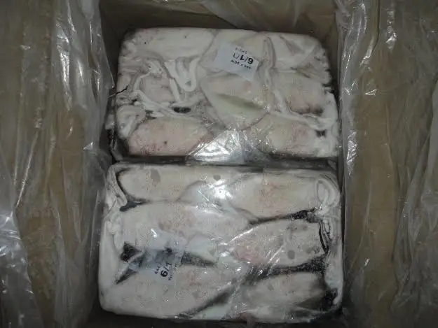 Купить высококачественный свежий и очищенный замороженный кальмар, оптовые экспортеры в индии для продажи оптом