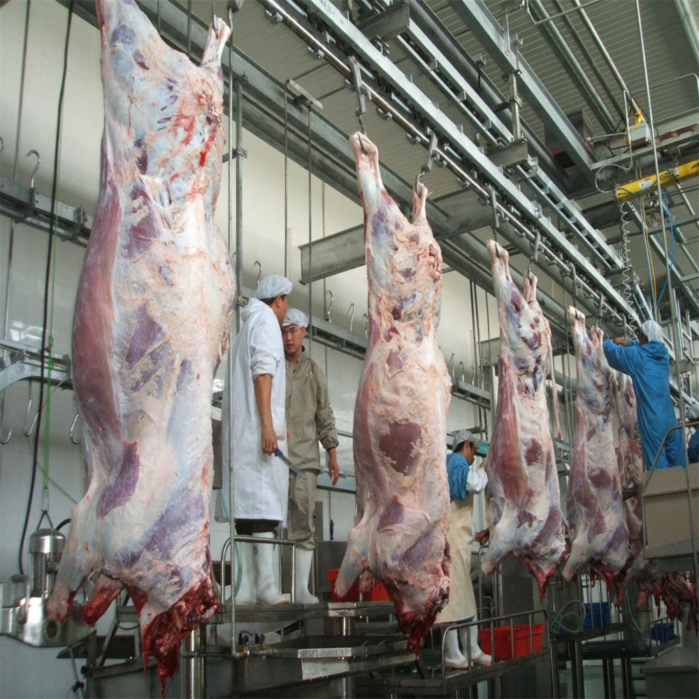 Meat Processing Equipment Machine Abattoir Slaughterhouse Cattle and Pig Slaughtering Line