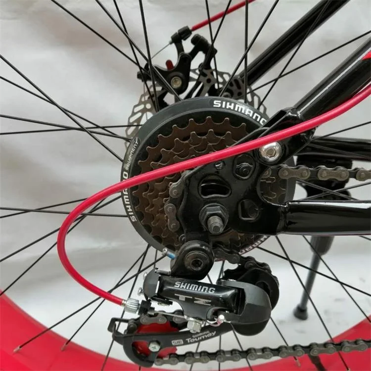 High Quality adult 26 Inch Popular Snow Fat Tire Mountain Bike