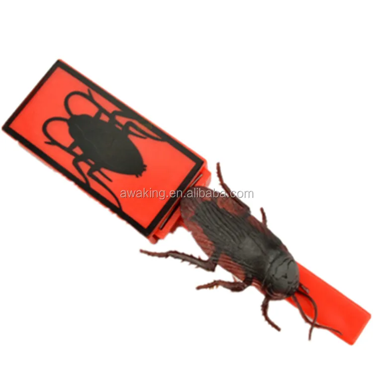 magic simulation cockroach toy