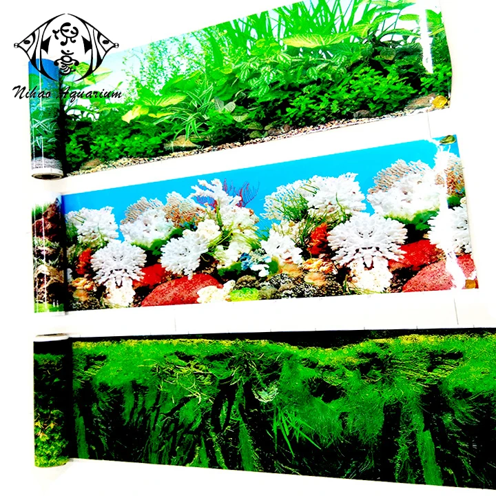 Fish tank decoration colorful film plastic paper images marine view aquarium background pictures
