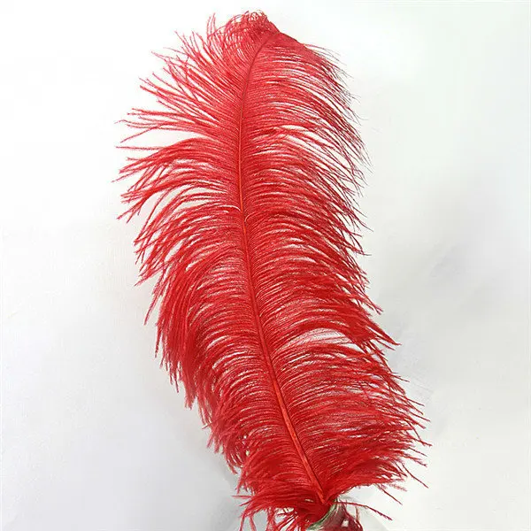 wholesale red ostrich feathers large decorative feather