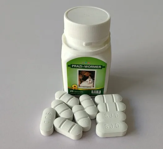 
against worms fenbendazole praziquantel tablets 
