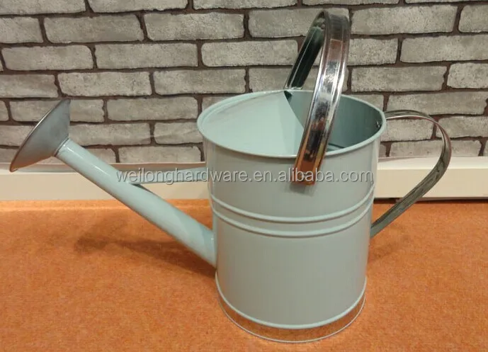 Garden Colour Galvanised Metal Steel Watering Can 9 Litre with Brass Rose