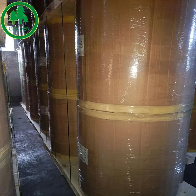 Thermal paper cash register paper/ATM paper