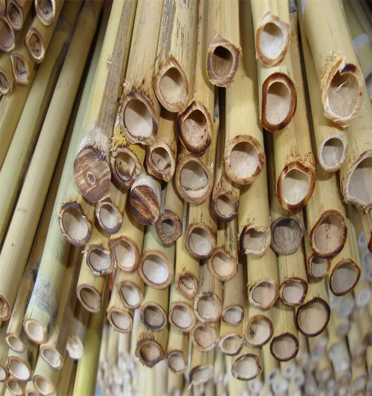 Wy-J206 Nature сухие прямые бамбуковые трости из ротанга