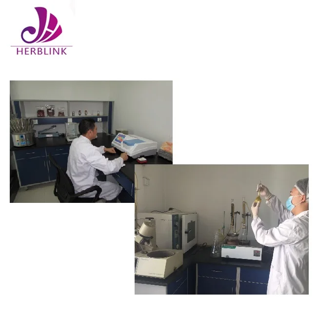 Green tea extract new products 2017