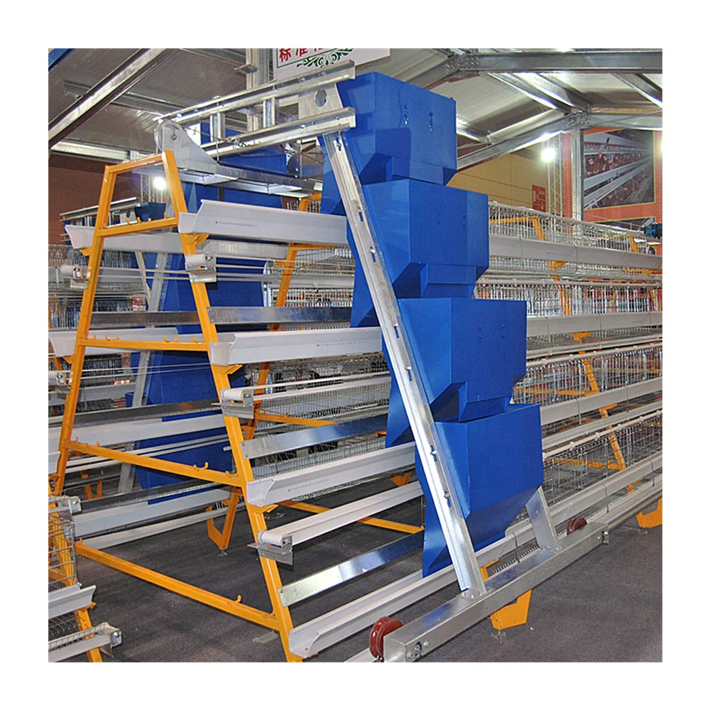 tanzania chicken farm layer cage system in poultry