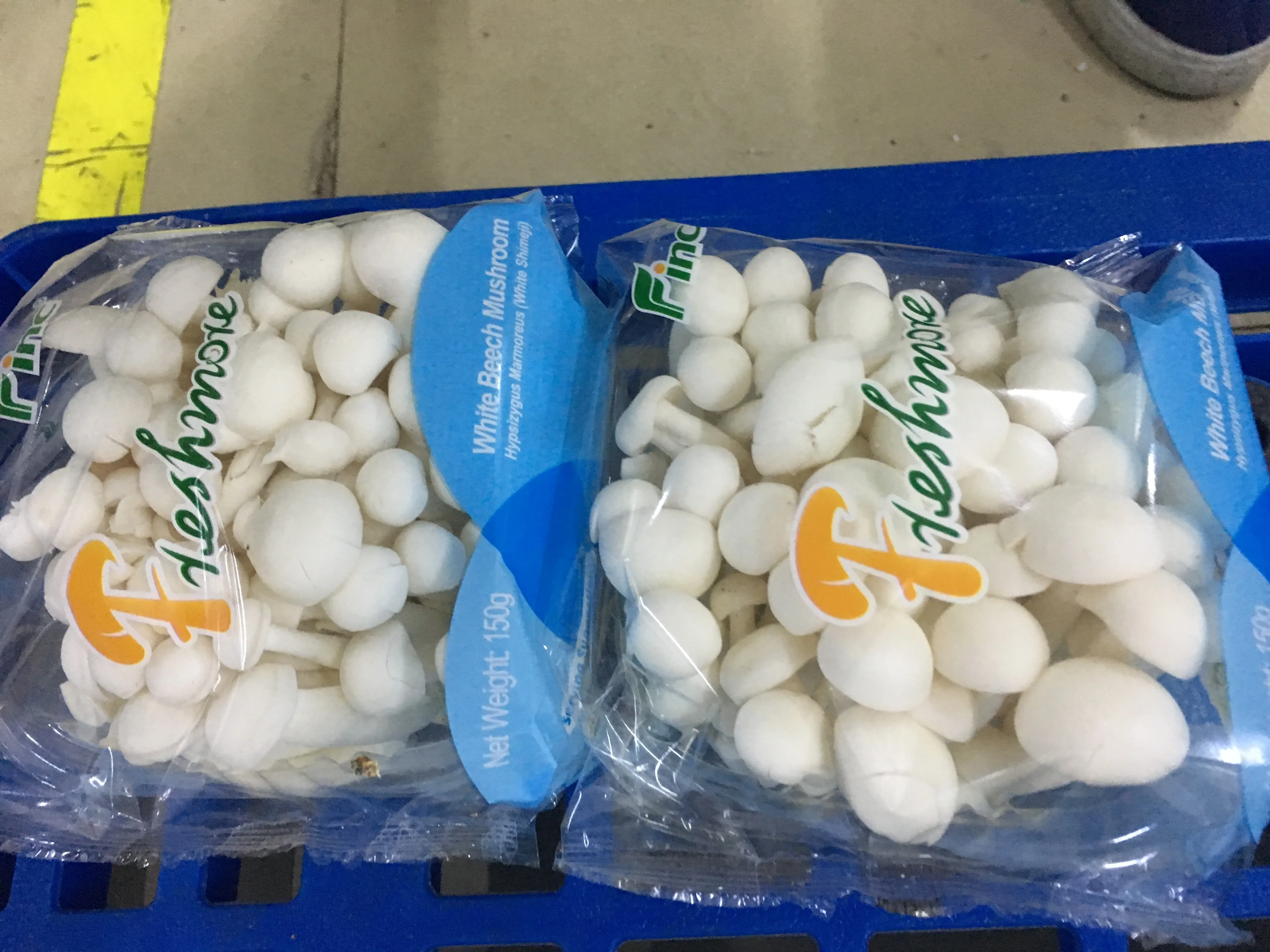 
fresh shimeji white mushroom/ cultivated mushrooms Quality Grade A Mushroom/ Fresh 