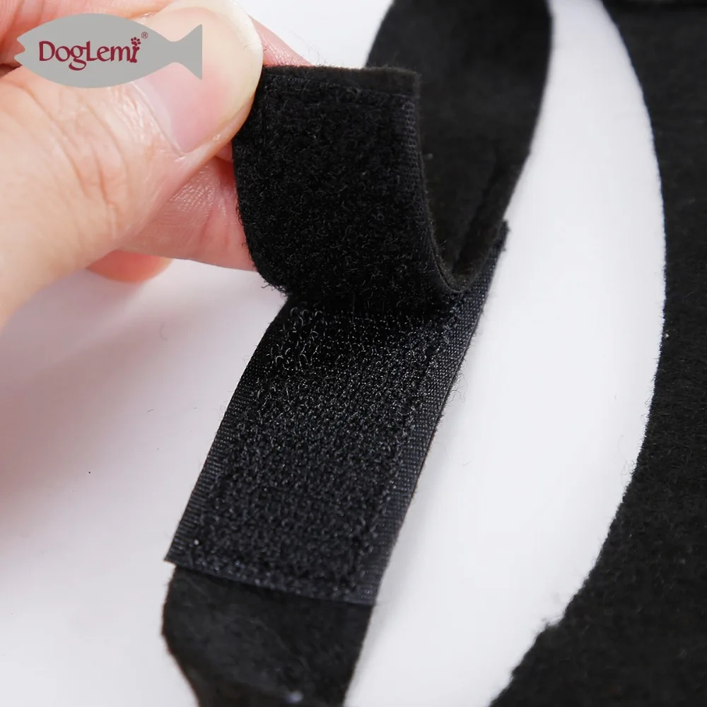 Halloween Pet Products Bat Wings Cat Bat Costume