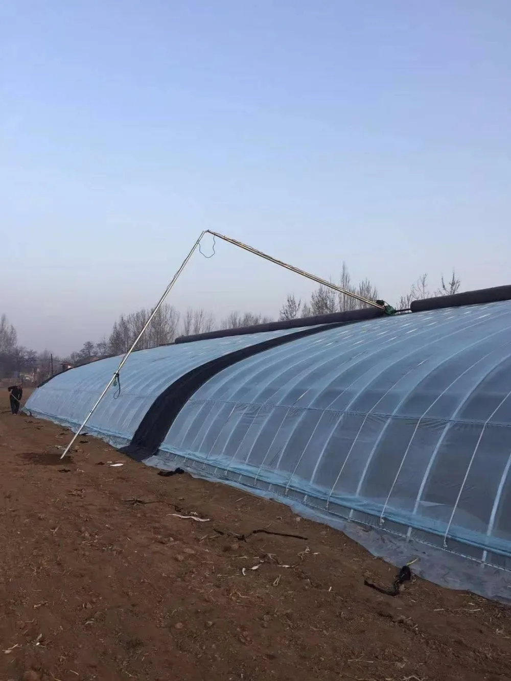 Greenhouse From Holland Type Plastic Film Single-Span Solar Greenhouse Grown Throughout the Year