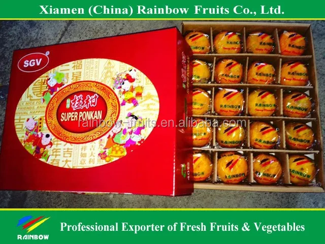 Chinese Fresh sweet Lokam Lokan Mandarin