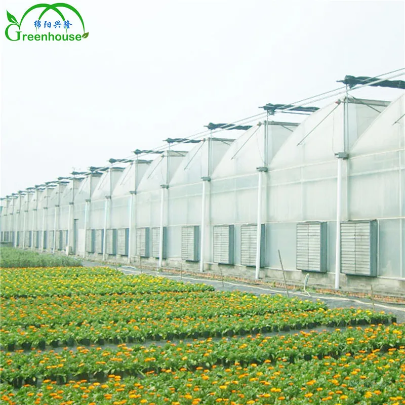 XL Multi-span Greenhouse With Hydroponic Growing Systems