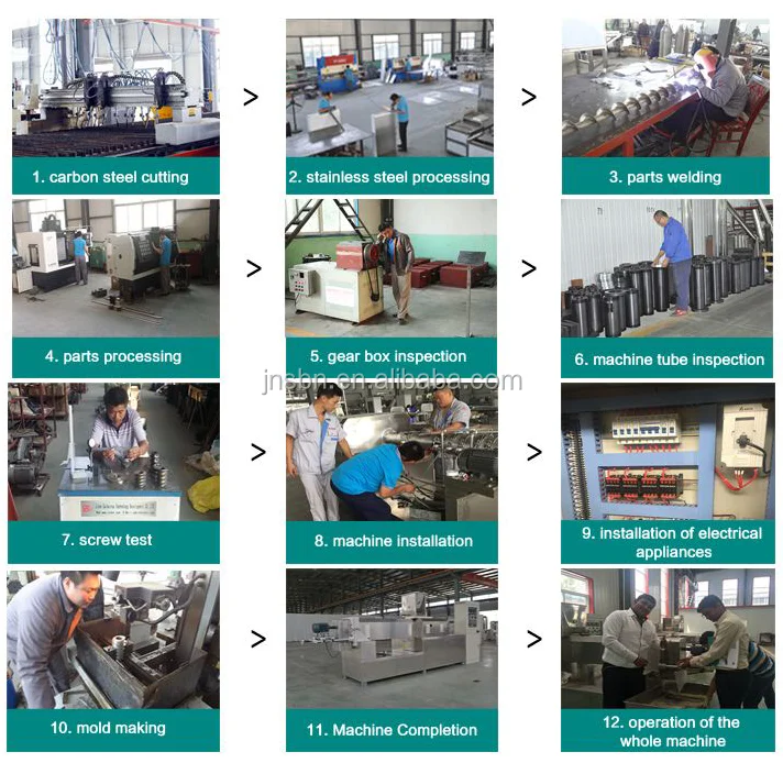 Saibainuo Automatic 100-1000kg/h big capacity pet food pet food extruder machine line