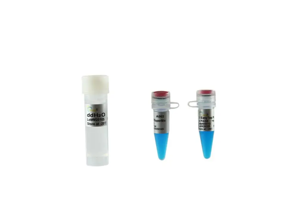 
EasyTaq PCR SuperMix for PAGE - PCR Master Mix with Dye Solution (in-taq) - Taq Polymerase Mix 