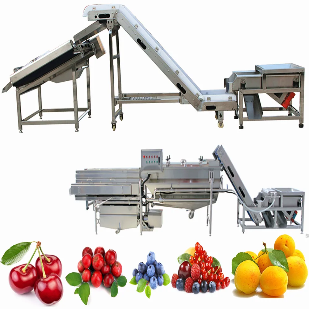 Fruits Washing Machine for Apricot Processing Line with Blackberry Strawberry Cleaning Sorting Equipment Machinery