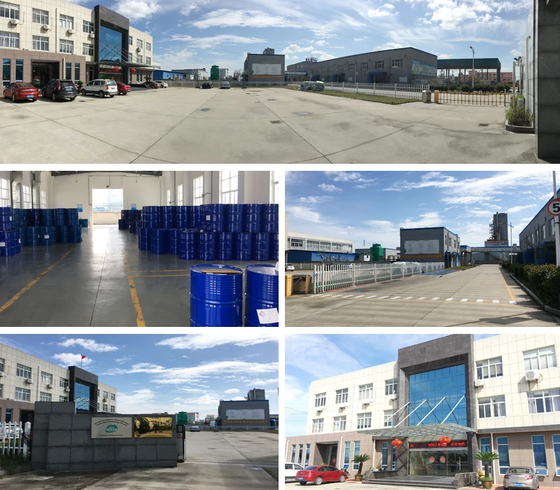 Reactive Monomer Tripropylene Glycol Diacrylate/TPGDA CAS no 42978-66-5