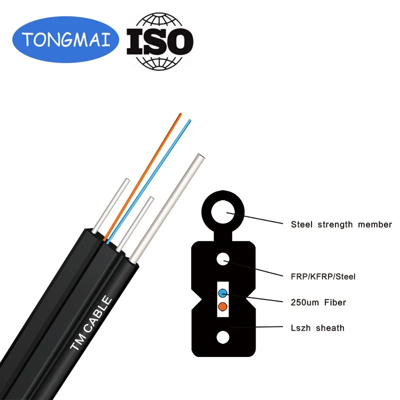 Self-support Fiber Optic Cable GJYXCH G657A2 Ftth Cable 2 CORE