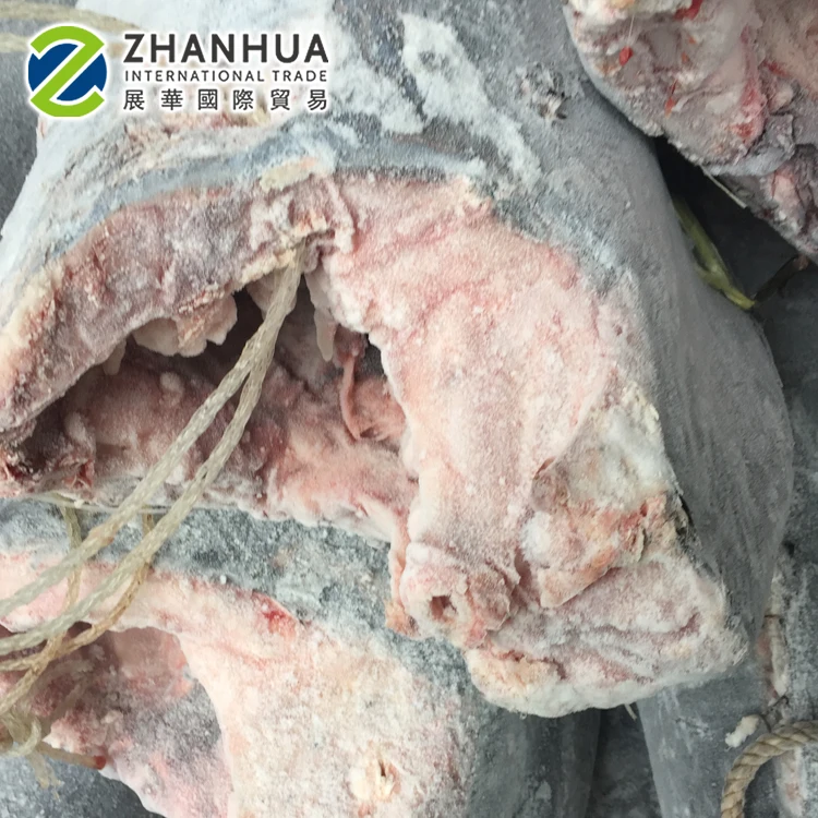 Black Marlin Wholesale HGT Frozen Blue Marlin