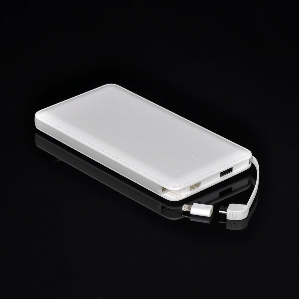 High Capacity Power Bank RoHS Power Bank 10000mAh Power Bank Mobile Charger