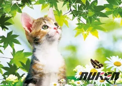 Индивидуальные Лучшие линзовидные 3D-изображения Иисуса Христа