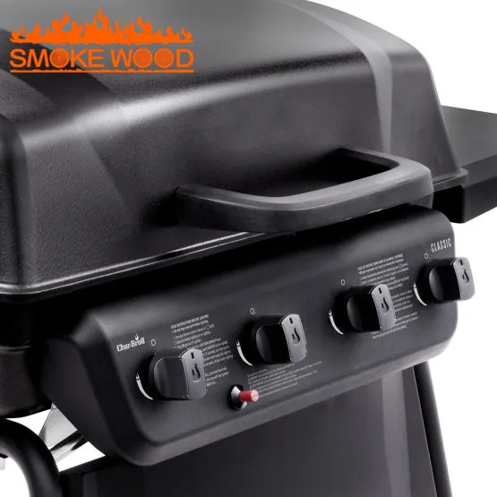 Outdoor Patio Luxury Portable BBQ Grill Barbecue Gas Grill