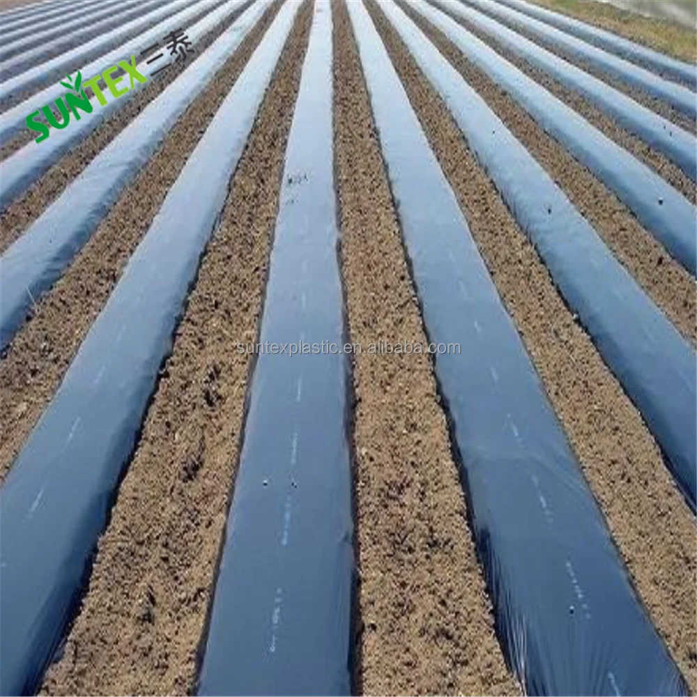 25 micron Black Black Mulch Film, Weed Barrier Custom Size Mulch Layer For Tomato