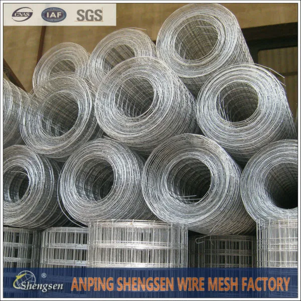 сети проволоки горячий продавать( все виды проволочной сетки в anping shengsen)