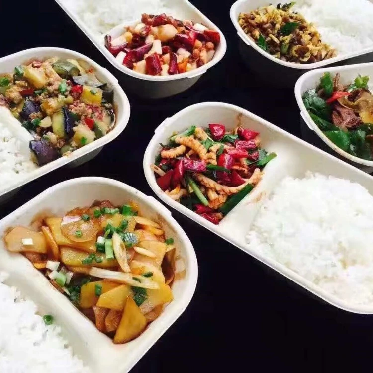 takeaway box with lid