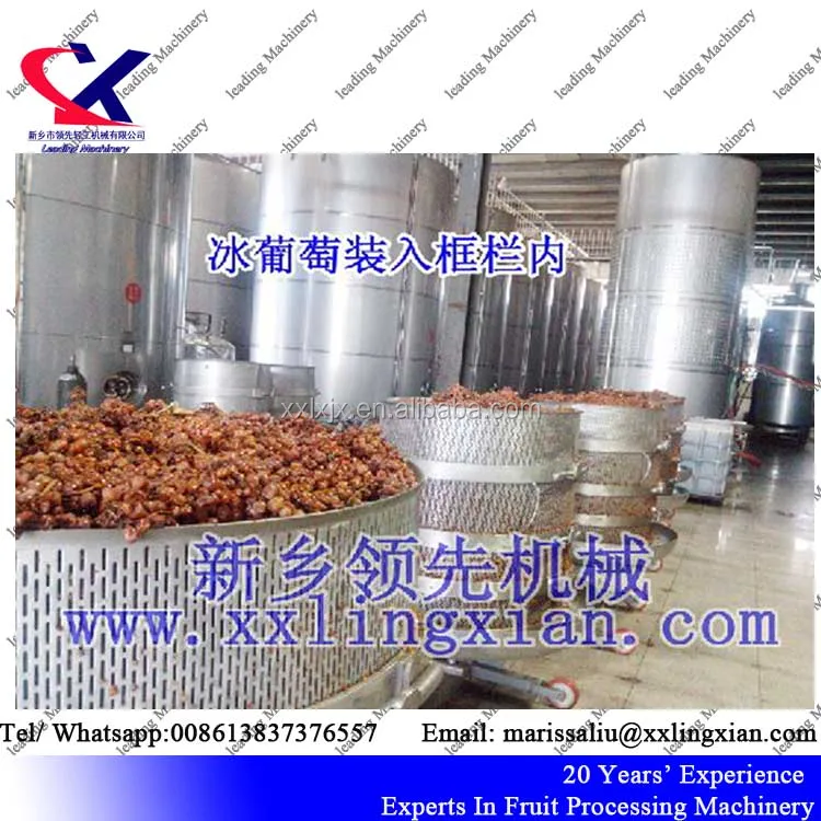 Передовые технологии verticle гидравлические виноградный пресс-машина/виноградное вино соковыжималка