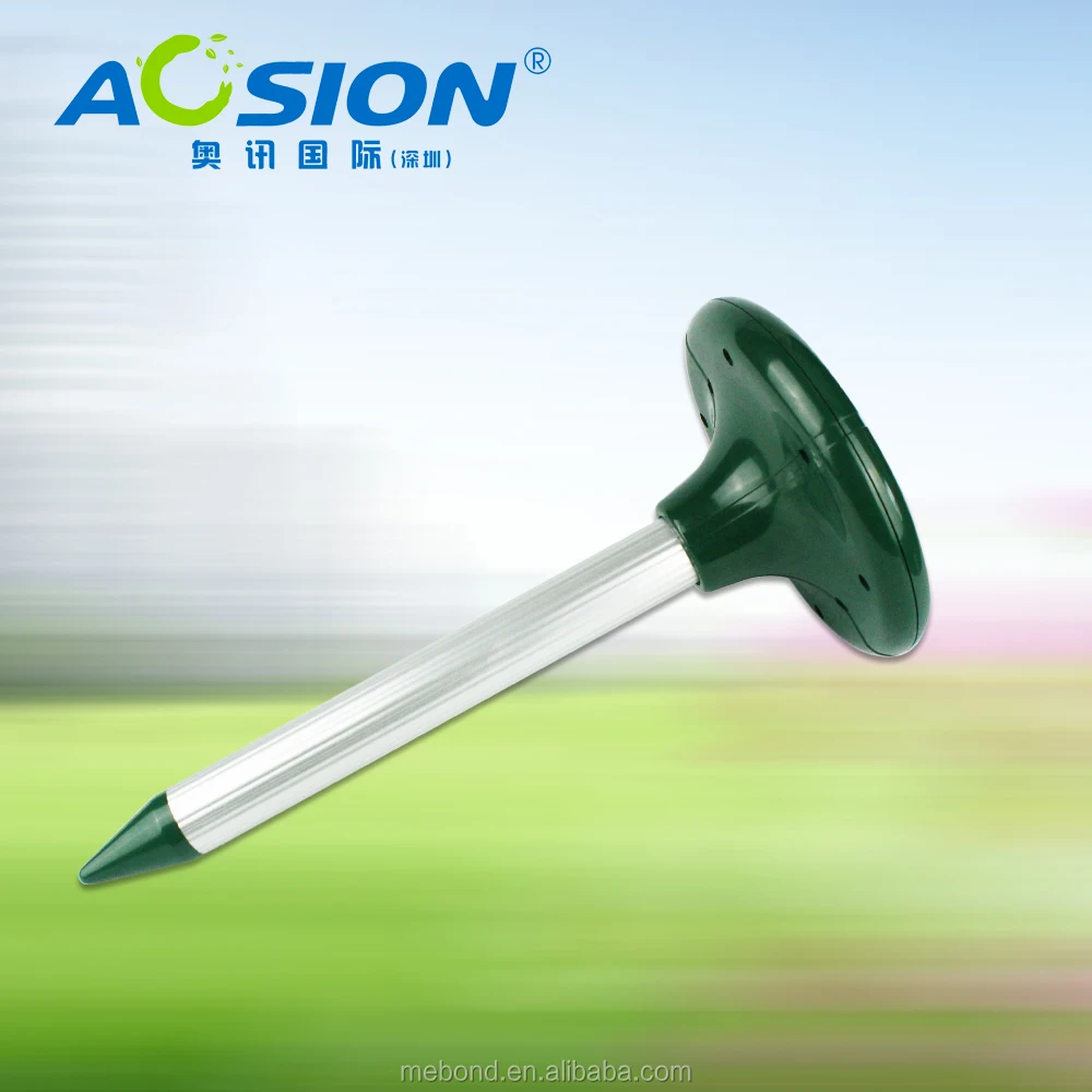 Шэньчжэнь солнечный мол и суслик штроборезы