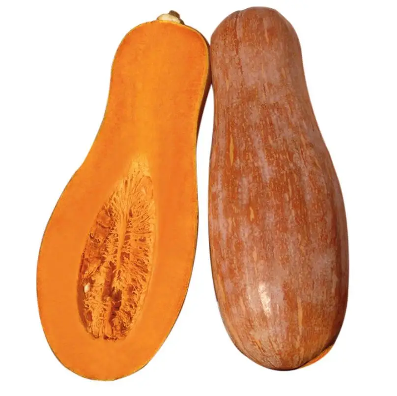 
600 seeds/tin China High Yield Spot Supply Natural raw Pumpkin Seeds for planting 