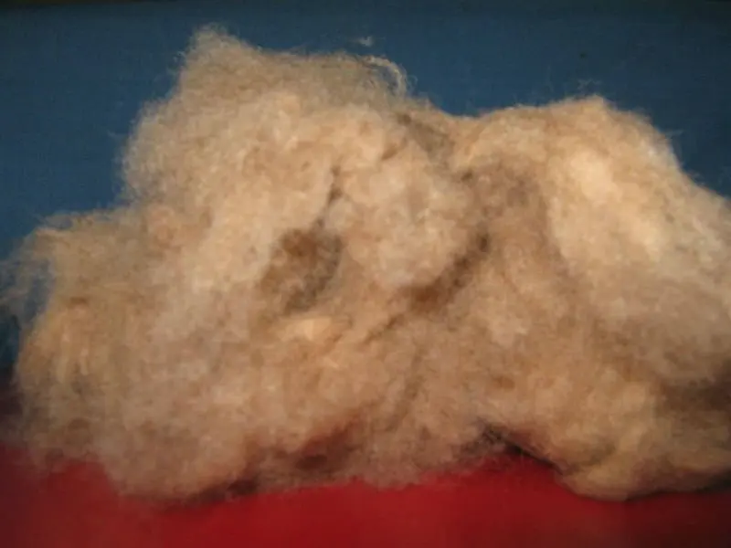 dehaired camel hair wool