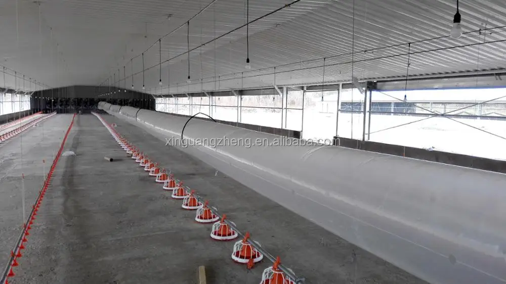 Feeder and drinker machine chicken poultry farm