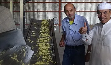 
automatic industrial potato chips making machinery french fries production line 