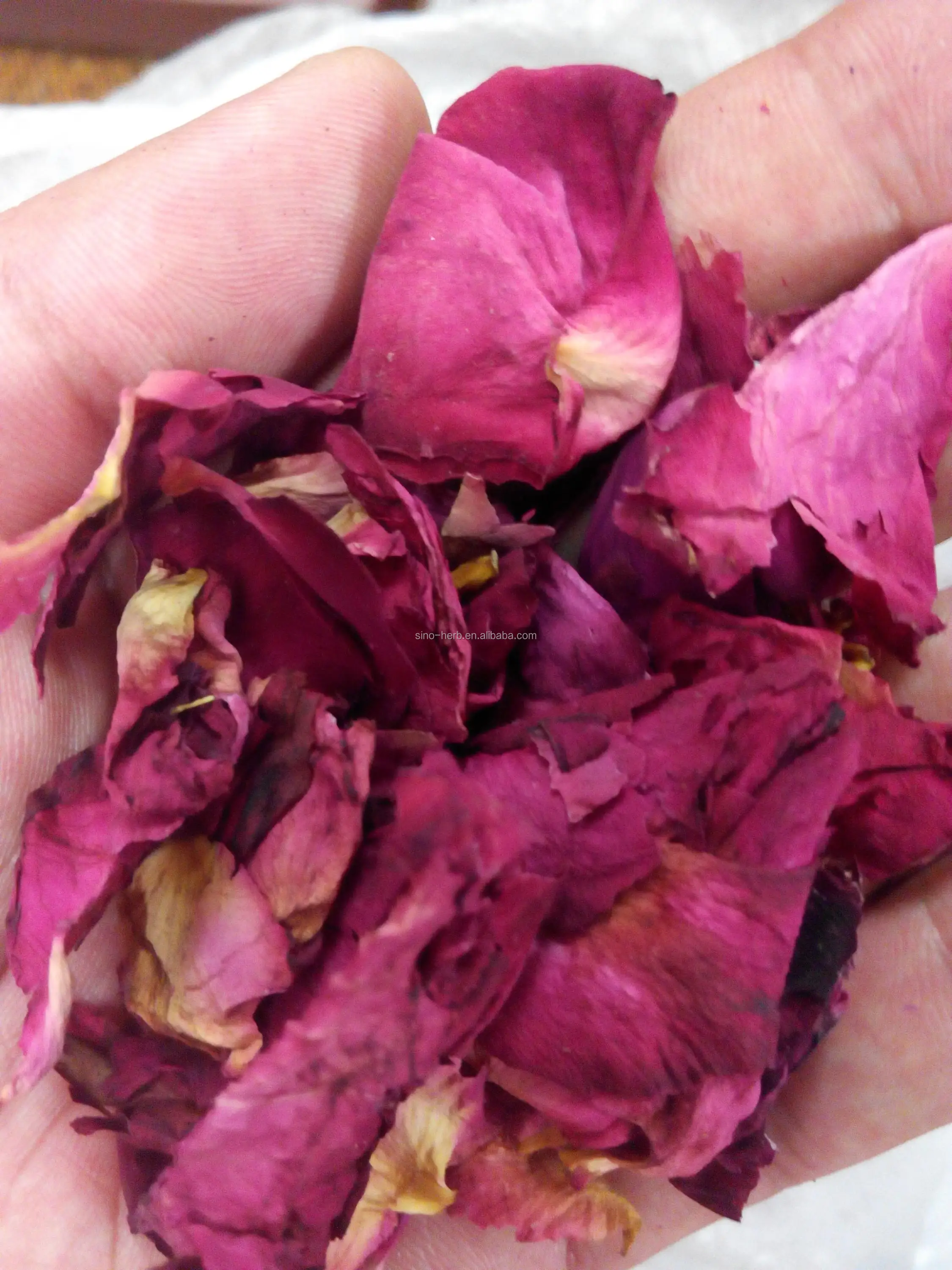 Chinese Dried Flower Used For Bathing And Spice For Wedding Dried Rose Petal