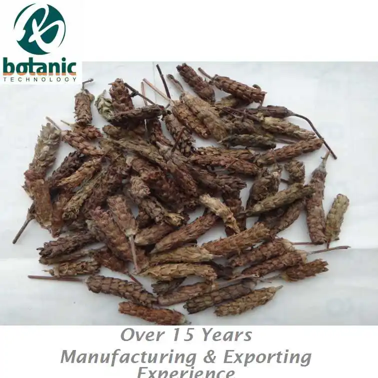 
Dried Prunella vulgaris spike Brunellae spica Selfheal Square stem Self heal Xia ku cao Xiakucao 