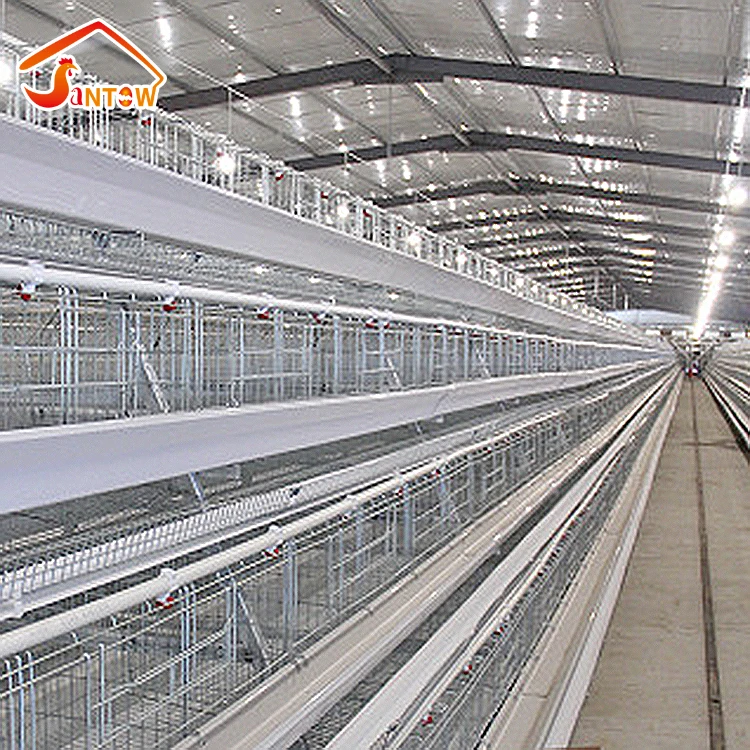 4-Tier Chicken Layer Cage/A Type, 4 Tiers, 128 Birds Chicken Cage with automatic feeding system wholesale chicken cage