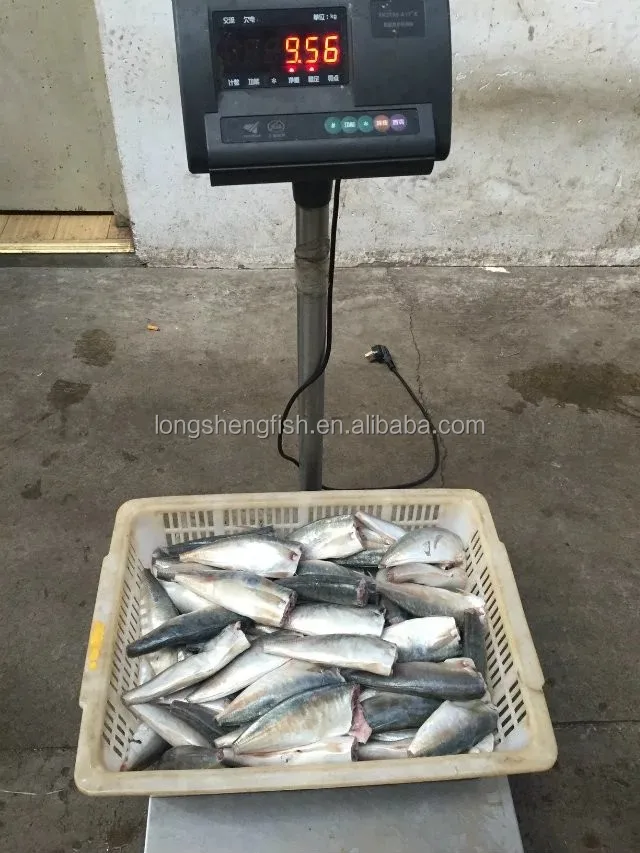 Замороженная Сардина HGT скумбрия HGT Тихоокеанская скумбрия