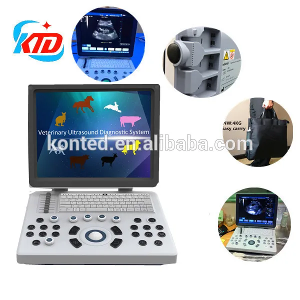 Equine/Cattle/Cow/Horse/Goat//Sheep/Pig/Dog/Cat Portable Veterinary Ultrasound Equipment/Machine/Scanner