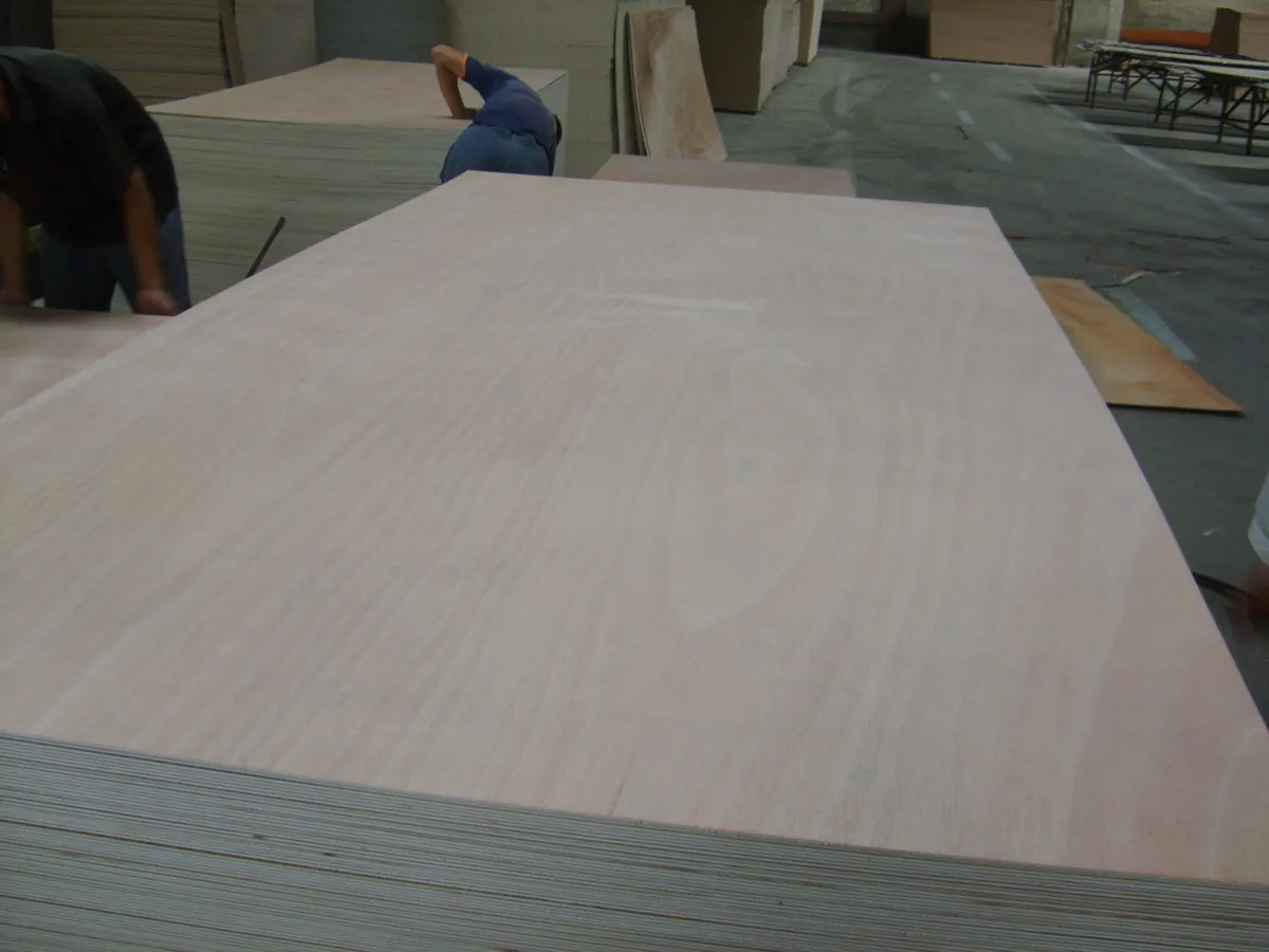 plywood for making chair seats